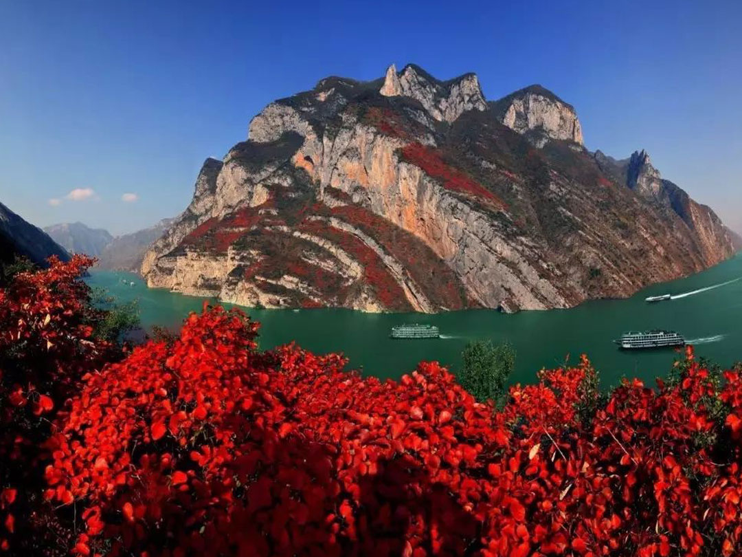 请问青岛到安阳大巴一天有几班，几点，多少钱